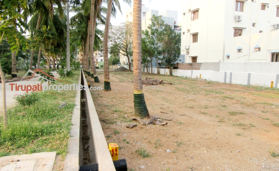 TUDA & RERA Approved #GatedCommunity East & West Facing #PlotsforSale Near Padmavathi Kalyanamandapam, #Tirupati